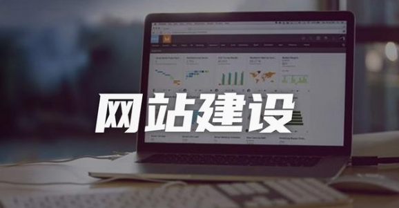 什么是网站