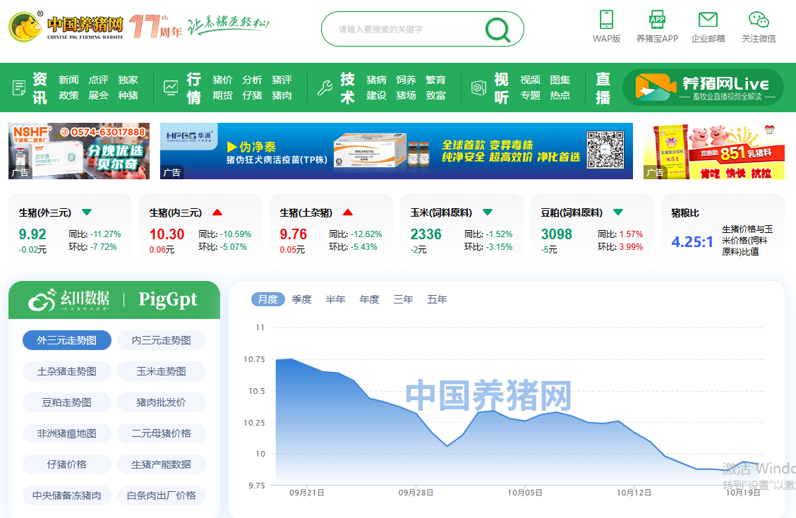 中国养猪网